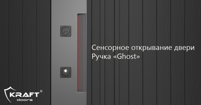 Дверь входная KRAFT "Line"